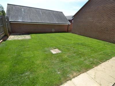Picture 13